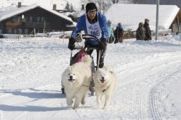 Lenk 2012 SM